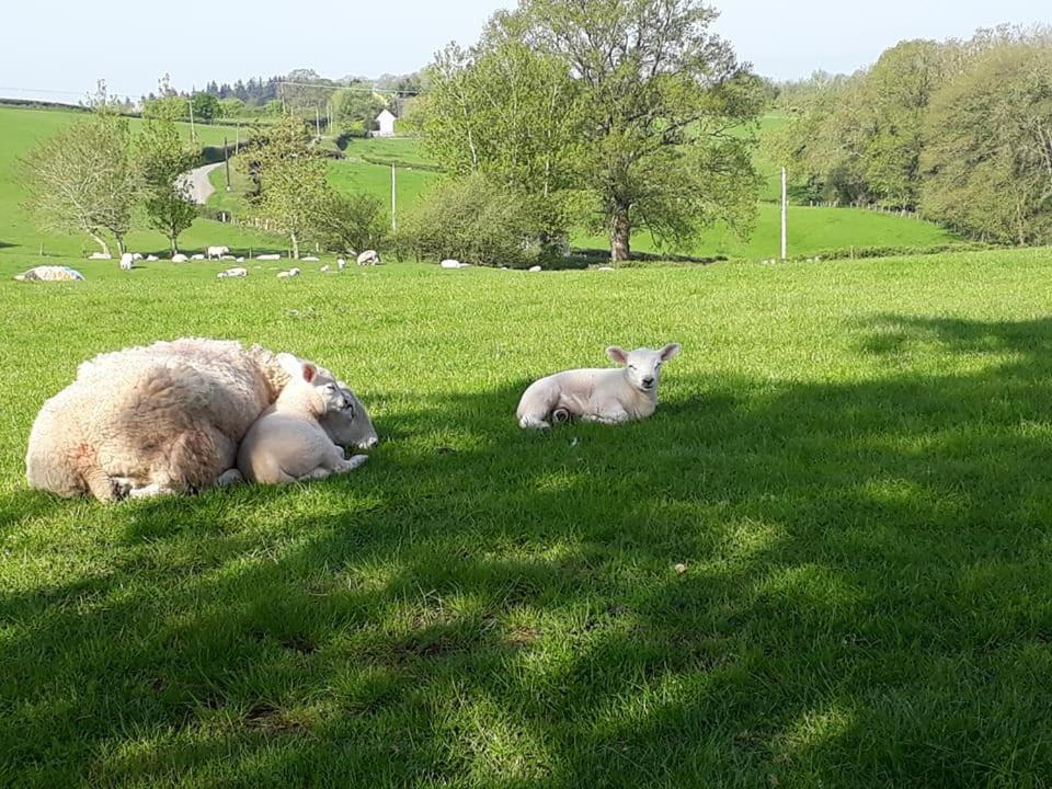 Ewe Retreat Shepherds Hut Hereford Exterior photo